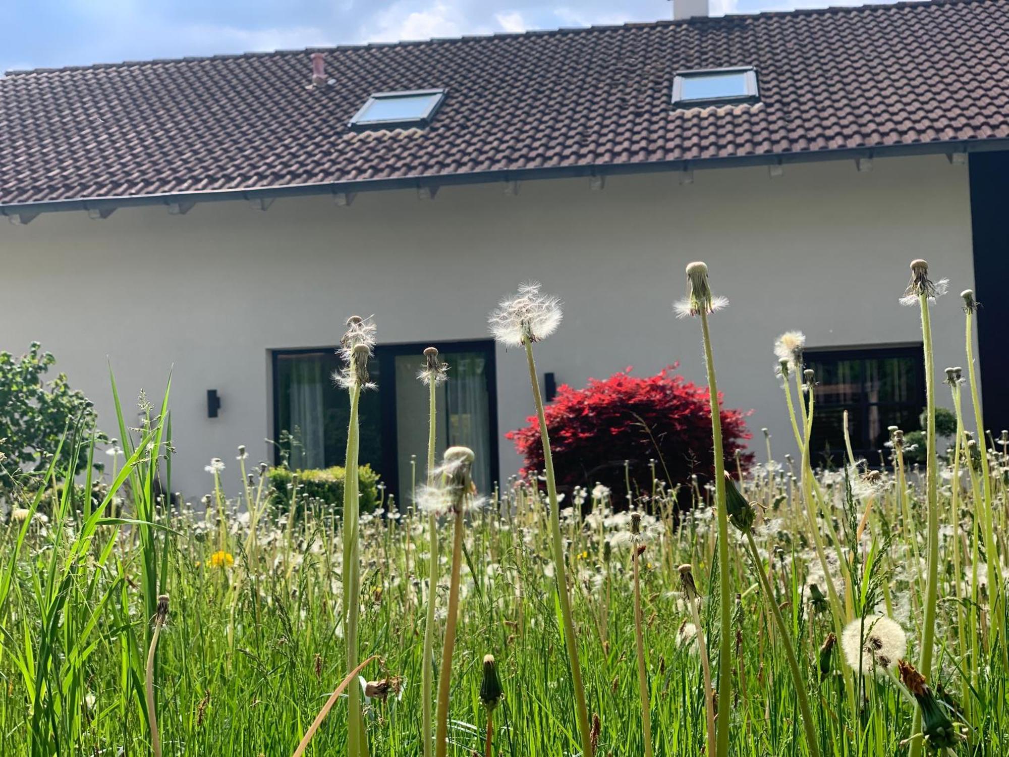 Appartement Kammblick Grobming Exterior foto